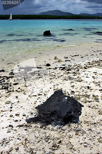 Image of  rock sail and stone