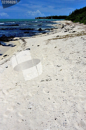 Image of shell rock and stone 