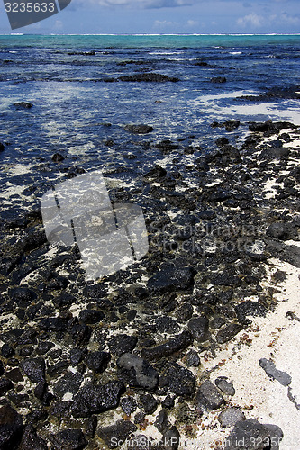Image of  rocks in ile du cerfs mauritius