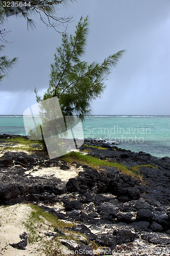 Image of rock and stone in belle mare mauritius