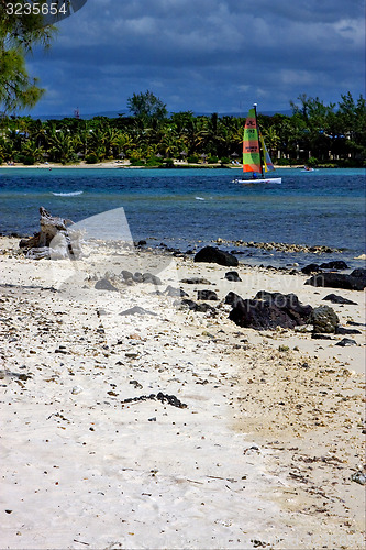 Image of rock and stone in deus cocos