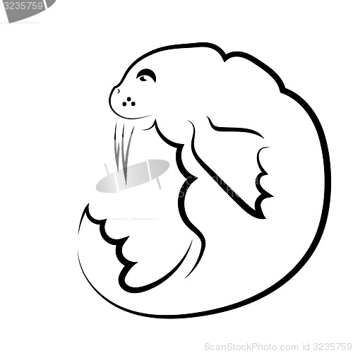 Image of Walrus Symbol