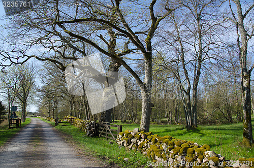 Image of Old rural landscape