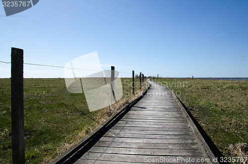 Image of Wooden footbridge