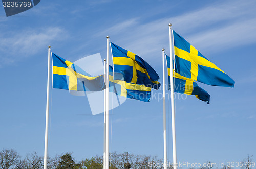 Image of Swedish flags