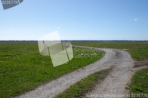 Image of Tracks into a plain landscape