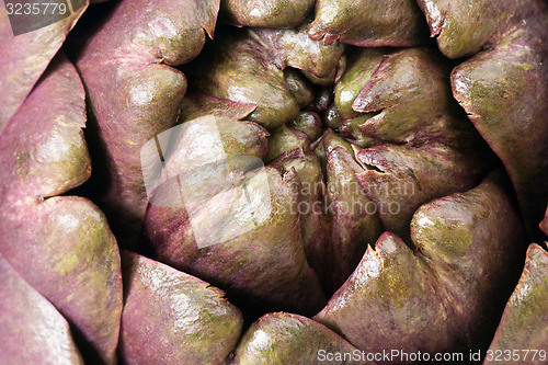 Image of Closeup of an artichoke