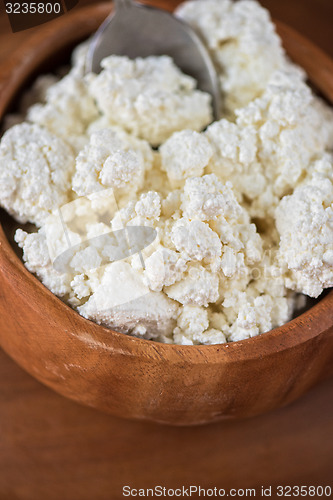 Image of curd in a bowl