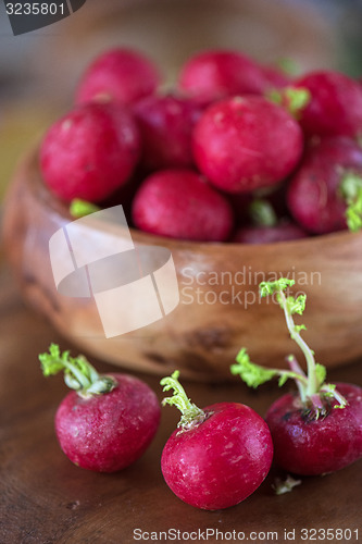Image of harvest of ripe radish.