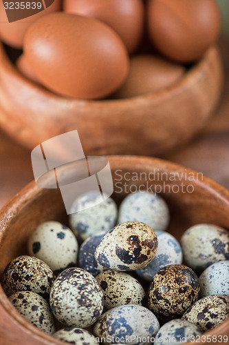 Image of Fresh eggs 