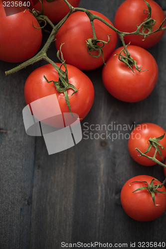 Image of Fresh tomatoes 