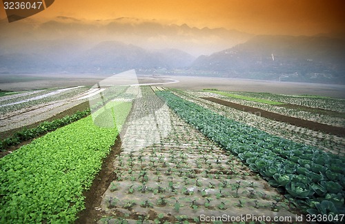 Image of ASIA CHINA YANGZI RIVER