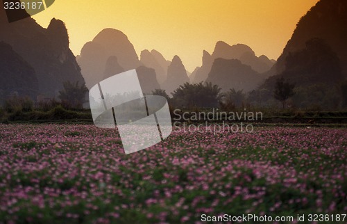 Image of ASIA CHINA GUILIN