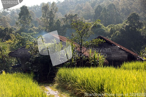 Image of ASIA THAILAND CHIANG MAI CHIANG DAO MINORITY