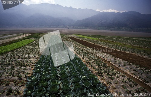 Image of ASIA CHINA YANGZI RIVER