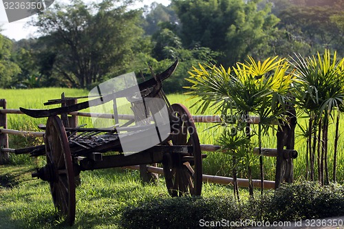 Image of ASIA THAILAND CHIANG MAI CHIANG DAO MINORITY