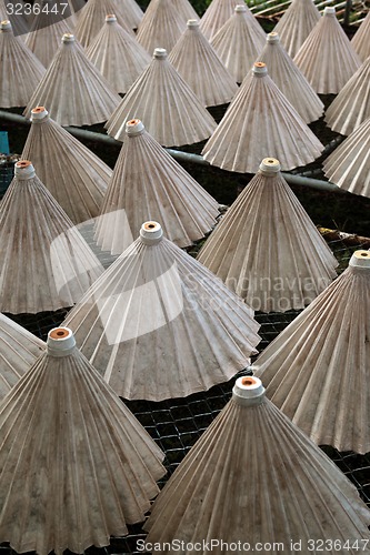 Image of ASIA THAILAND CHIANG UMBRELLA