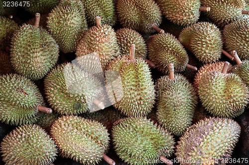 Image of ASIA THAILAND CHIANG MAI MARKET