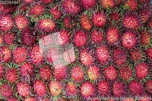 Image of ASIA THAILAND CHIANG MAI MARKET