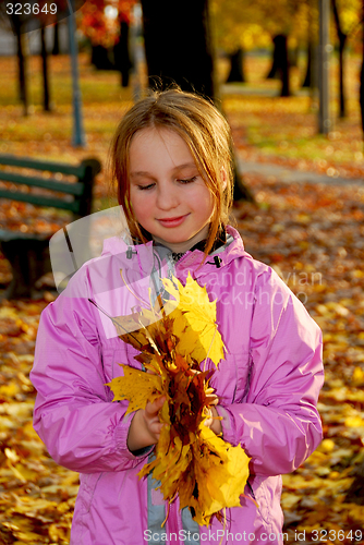 Image of Autumn girl