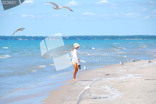 Image of Girl beach seagulls