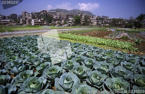 Image of ASIA CHINA YANGZI RIVER