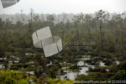 Image of ASIA BRUNEI DARUSSALAM