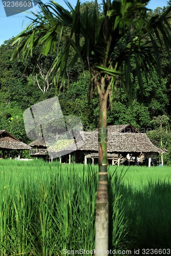 Image of ASIA THAILAND CHIANG MAI CHIANG DAO MINORITY