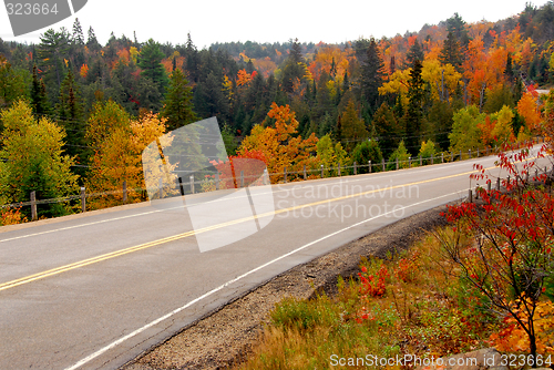 Image of Fall highway