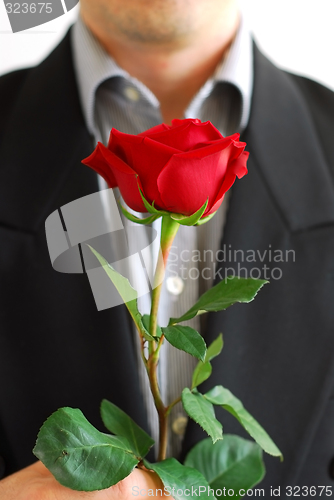 Image of Man red rose