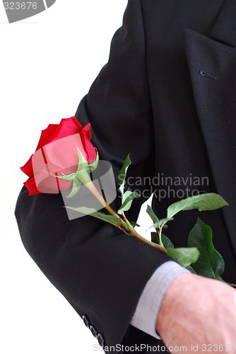 Image of Man red rose