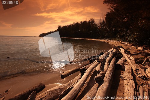 Image of ASIA BRUNEI DARUSSALAM