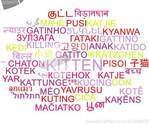 Image of Kitten multilanguage wordcloud background concept