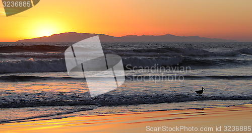 Image of Sunset Waves