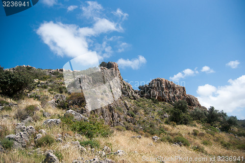 Image of Spring season landscape