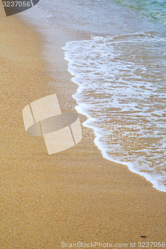 Image of asia thailand kho tao bay abstract of   wet sand  