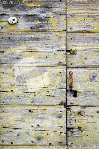 Image of  blur lombardy   abstract   rusty brass brown  