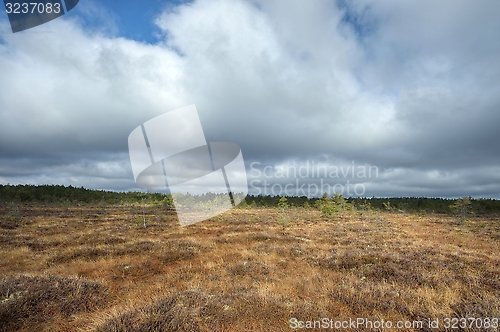 Image of Bog with cloudy sky