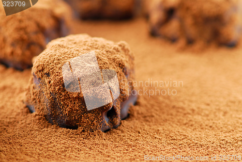 Image of Chocolate truffles