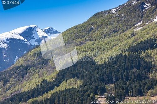 Image of scenic landscapes of the Norwegian fjords.