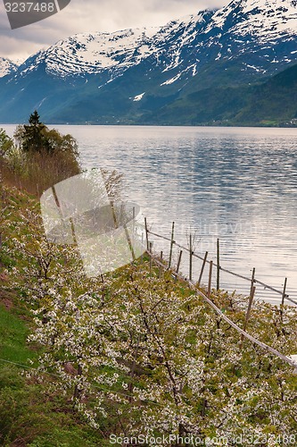 Image of scenic landscapes of the Norwegian fjords.