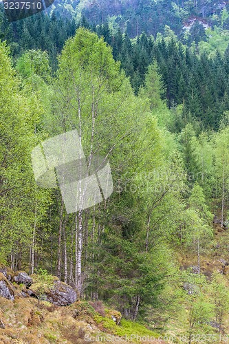 Image of scenic landscapes of the Norwegian fjords.