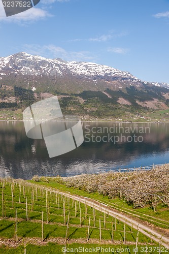 Image of scenic landscapes of the Norwegian fjords.