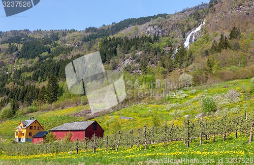 Image of waterfall in Norway