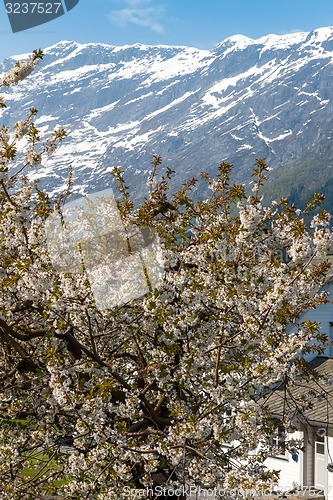 Image of Landscape with mountains. Norwegian fjords