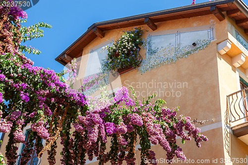 Image of typical decorative window in the old town 