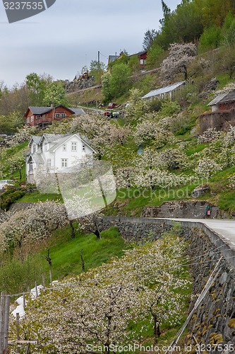 Image of Landscape with mountains.  village in Norwegian fjords