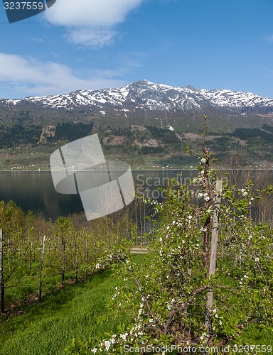 Image of Landscape with mountains. Norwegian fjords