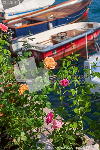 Image of roses on the pier