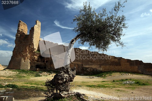 Image of AFRICA MOROCCO FES